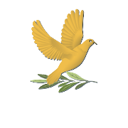 Peacemakers Movement